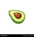 Avocado Extract